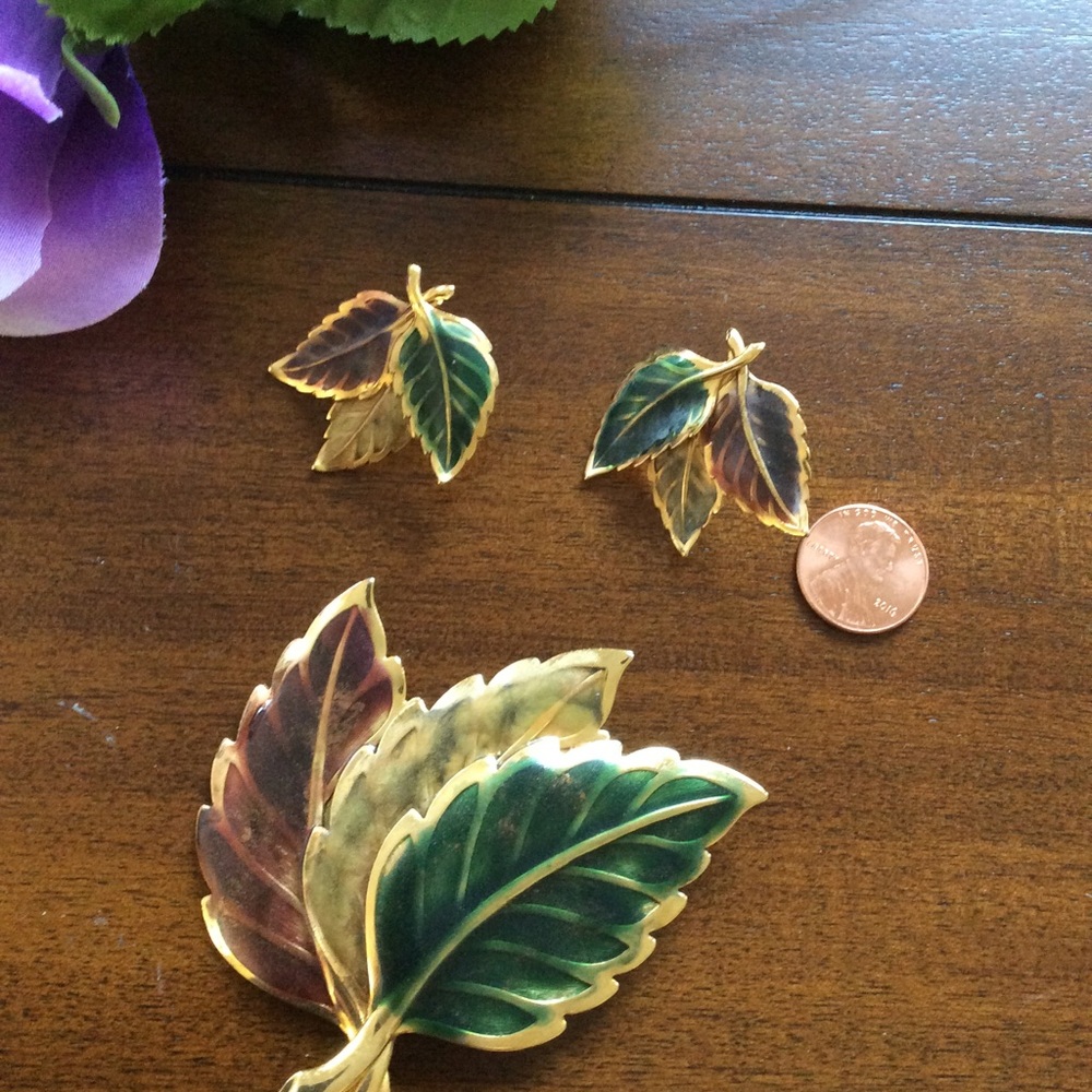 Jewelry Earth color Leaf Earring & Pin Set. 🌿 - Picture 5 of 5